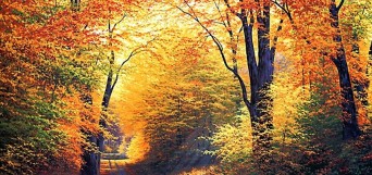 santé automne
