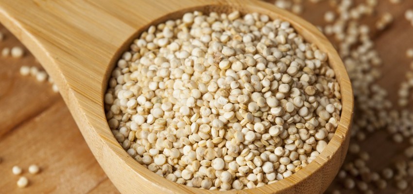 6 bénéfices du quinoa, la « graine des Incas »