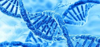 meditation genes