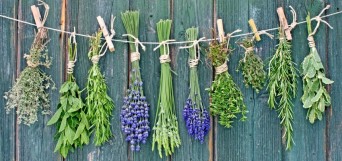 herbes aident dormir