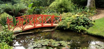 jardin feng shui