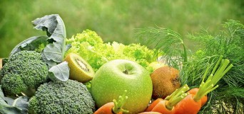 viande aimaux environnement